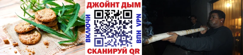 Cannafood конопля  Купить  Нолинск 