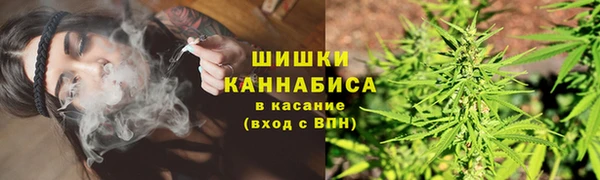 гашик Зеленодольск