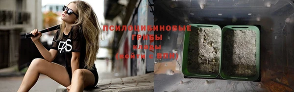 СК Зеленокумск