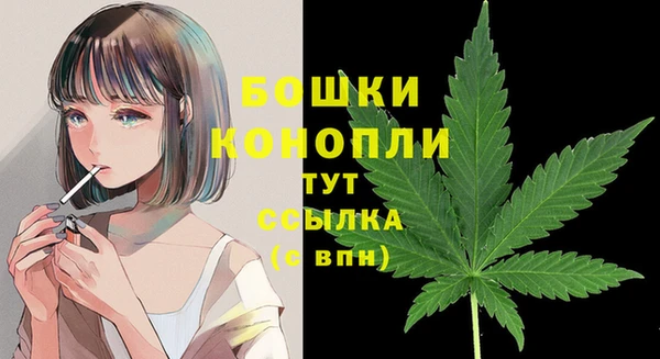 гашик Зеленодольск