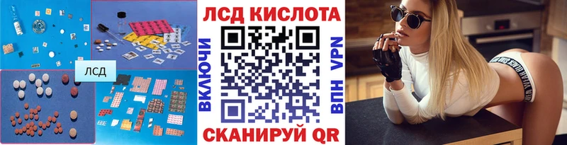 Купить закладки  Нолинск  Лсд 25 экстази кислота 