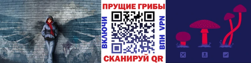 Купить  Нолинск  Псилоцибиновые грибы ЛСД 